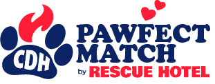 Pawfect Match by Rescue Hotel