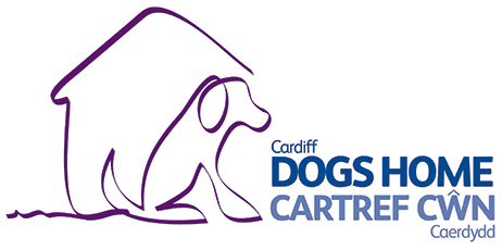 visit cardiff dogs home